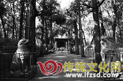 孔子的政治哲学
